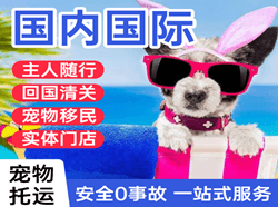 瑷珲机场快递国际宠物托运 【国